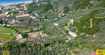 Erdek Turan Mahallesi Dermen Mevkiinde Merkezi Konumlu 2344m² Satılık Zeytinlik