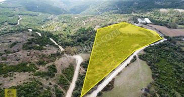 Erdek Yukarıyapıcı Mahallesinde Kadastroyola Cephe 27.531 M² Fırsat Tarla