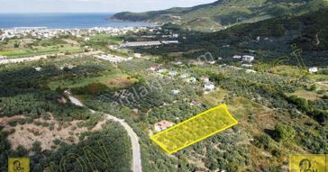 Erdek Turan Mahallesinde 2338 M² Fırsat Satılık Zeytinlik