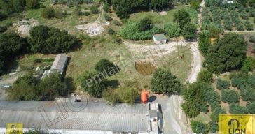 Erdek Ocaklar Mahallesi Kadastro Yoluna Cephe 3200m² Yatırımlık Satılık Tarla