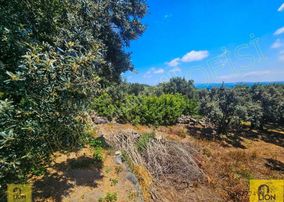 Erdek Aşağıyapıcı Mahallesi Yatırımlık 2780m² Satılık Zeytinlik