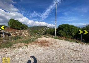 Erdek Hamamlı Mahallesi Yola Cephe 1222m² Satılık Yatırımlık Zeytinlik