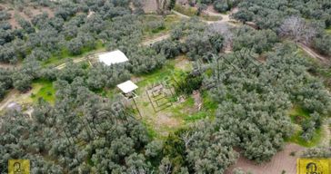 Erdek Yukarıyapıcı Mahallesi Kadastro Yoluna Yakın Yatırımlık 537m² Satılık Bahçe