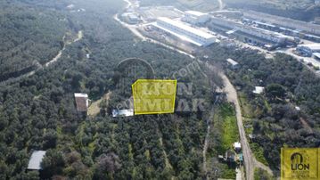 Erdek Alaettin Mahallesi Sanayi Sitesine Yakın Yatırımlık 1721m² Satılık Zeytinlik