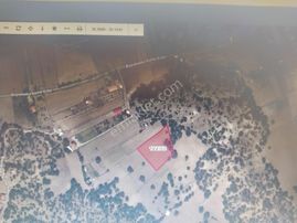 Mg Emlak Tan Satılık Arazi