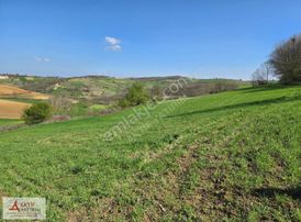 Kandıra Mülküşehsuvar'da 2232 M2 Çapı Düzgün Yola Yakın Tarla