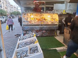 Yüksek Cirolu Mükkemmel Konumda Devren