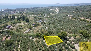 Erdek Çeltikçi Mahallesinde 402m² Yatırımlık Satılık Zeytinlik