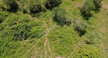 Frang Group'tan Yukarı Yapıcı Satılık Tarla