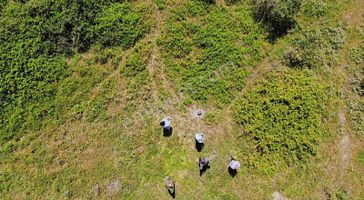 Frang Group'tan Yukarı Yapıcı Satılık Tarla