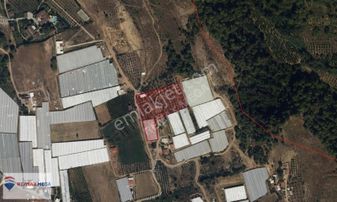 emlakjet-image-not-found