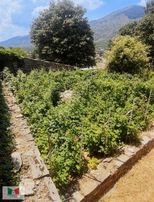 Kemalpaşa Kamberlerde Satılık 27600 M2 Muhteşem Villa Ve Çiftlik