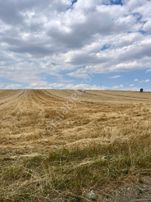 Sahibinden Yaylakent De Kullanışlı Arazi