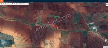 emlakjet-image-not-found