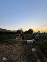 Akkeçili Kayısı Çukuru Mevki Satılık Bağ