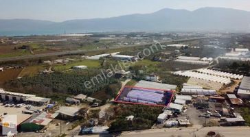emlakjet-image-not-found