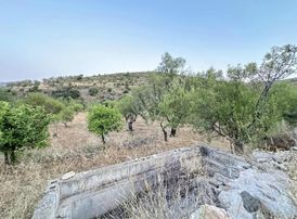 Startkey Tarihi Knidos Yolu Üzeri İçinde Ev Ve Kuyusu Olan Tarla