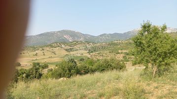 Sahibinden Fekentapan Bölgesi İncircide Çok Cazip Fiyata Badem Bahçesi