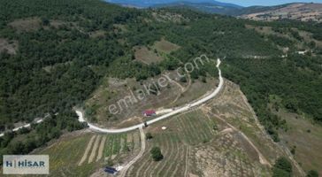 Hisar'dan Kavak Mahmutlu'da Yola Cephe Fırsat Tarlalar