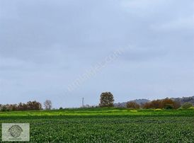 Adapazarı Kaynarcık Mahallesin'de 2777 M2 Satılık Tarla