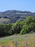 Dağyenice Fırsat Bahçeler