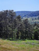 Dağyenice Fırsat Bahçeler