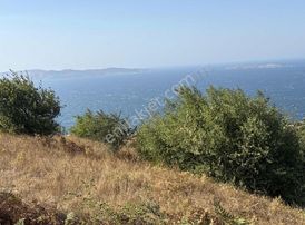 Frang Group'tan -bandırma Sahil Yenicede Asfalta Cephe 2.782 M2