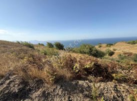 Frang Group'tan -bandırma Sahil Yenicede Asfalta Cephe 2.782 M2