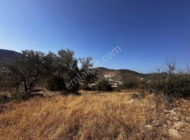 Startkey Pelit Yazı Köyde Yatırımlık Yolu Olan Tarla