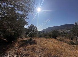 Startkey Pelit Yazı Köyde Yatırımlık Yolu Olan Tarla