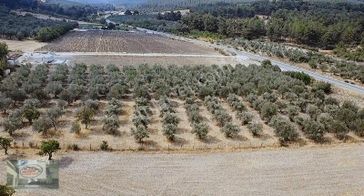 emlakjet-image-not-found