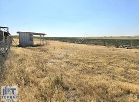Toprak Emlaktan Sakintepe Mh.satılık Tarla Bahçe Yeri
