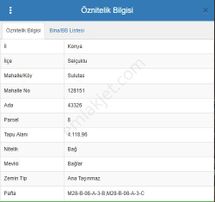 Sahibinden Sulutas'da Yola Sıfır Konya Manzaralı