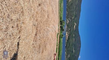 Cb Park Ömer Ocak'dan Kolayda Satılık Tarla