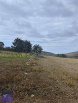 Çelik Emlak'tan Sarıtaş'ta Satılık Tarla