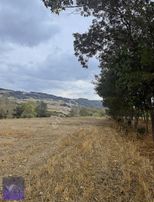 Çelik Emlak'tan Sarıtaş'ta Satılık Tarla