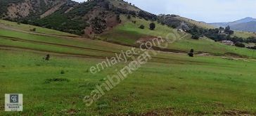 Tunceli De Tarla Fırsatı