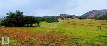 Tunceli De Tarla Fırsatı