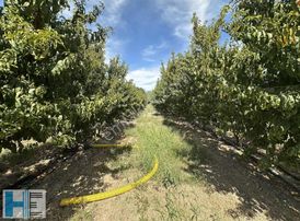 Gürsu Kazıklı Da Satılık Fırsat Tarla 1520m2