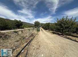 Gürsu Kazıklı Da Satılık Fırsat Tarla 1520m2