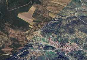 Golden Globy, Burhaniye Yunuslar'da Satılık 51,5 Dönüm Tarla