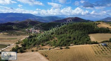 Geyve Aydınlar Mah. Resmi Yolu Mevcut Asfalta 50mt Kaçmaz Fırsat