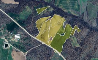 C21 Bal'dan 135 Dönüm Tek Parça//proje Geliştirmeye Uygun Tarla