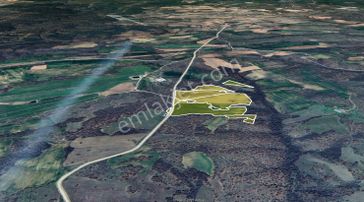 C21 Bal'dan 135 Dönüm Tek Parça//proje Geliştirmeye Uygun Tarla