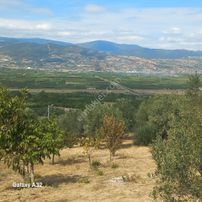 Geyve Umurbey Köyünde 6970 M² Arsa 60m² Bina Bulunan 120 Metrekare Yapı Denetimi Olan Arsa Satılık