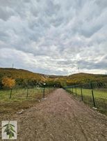 Şile Çengilli Merkezde Doğanın İçinde Arsa Tapulu Harika Fırsat