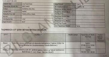 Sahibinden 22 Dönüm Zeytinlik