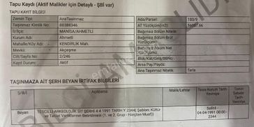 Sahibinden 22 Dönüm Zeytinlik