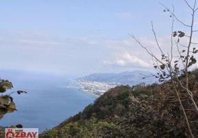 Boztepede Satılık Fındık Bahçesi