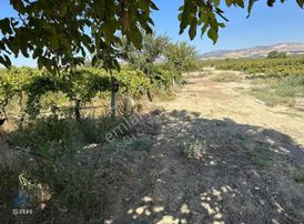 Asfalt Yol Üzeri 7.5 Dönüm Tek Tapu Kaçırılmayacak Satılık Bağ